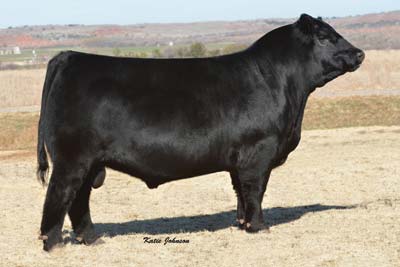 QLC Superior 146Y